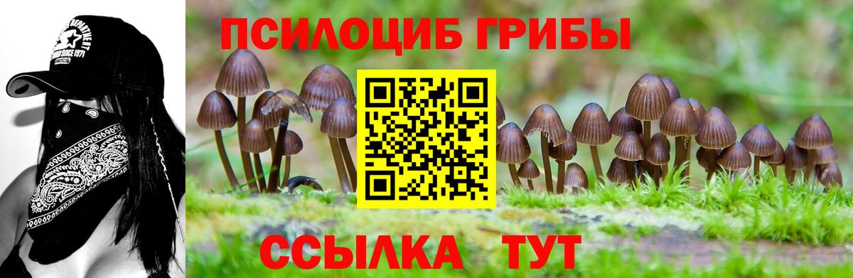 Галлюциногенные грибы GOLDEN TEACHER Красноармейск